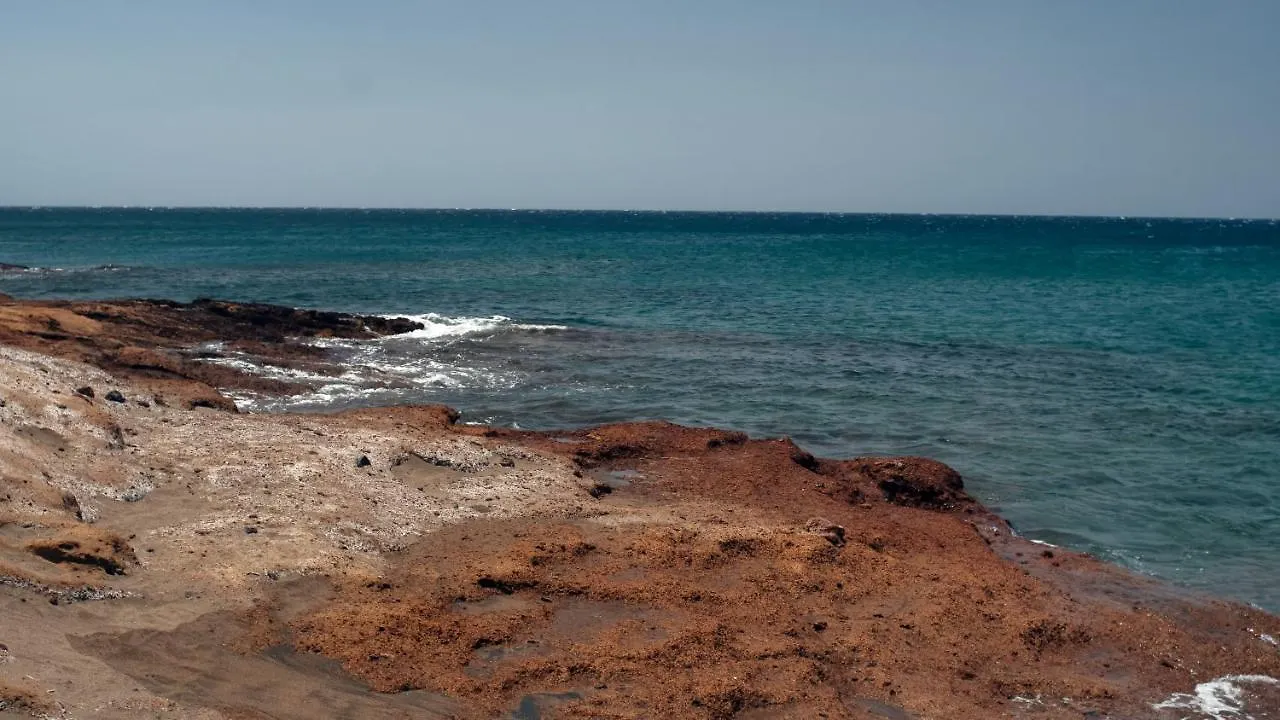 Apartment Okeanos Sea View 2 Bedrooms Vr-M El Medano  Spain
